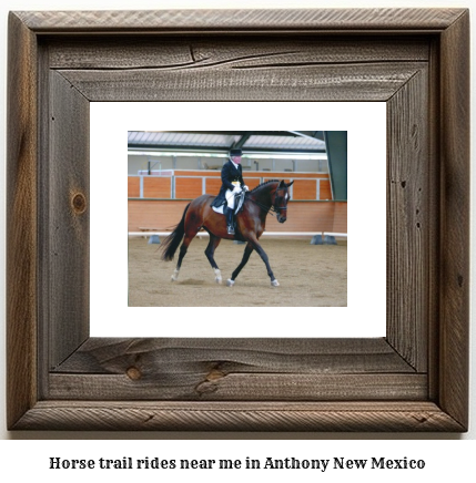 horse trail rides near me in Anthony, New Mexico